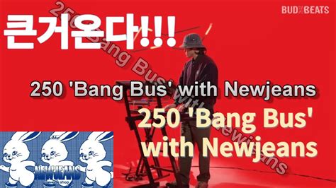 bangbus asain